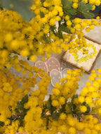 -春を運ぶ- ドットバタフライ刺繍ブローチ